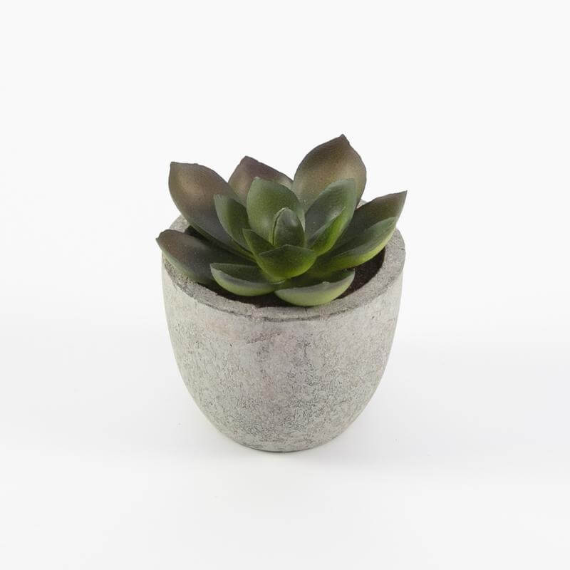 CAMAS - Artificial Succulent Plant in Pulp Pot