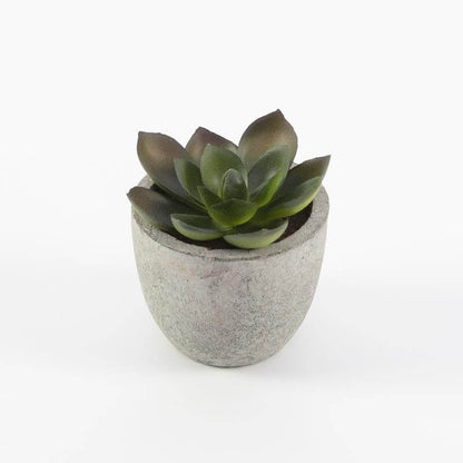 CAMAS - Artificial Succulent Plant in Pulp Pot