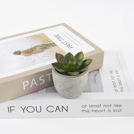 CAMAS - Artificial Succulent Plant in Pulp Pot